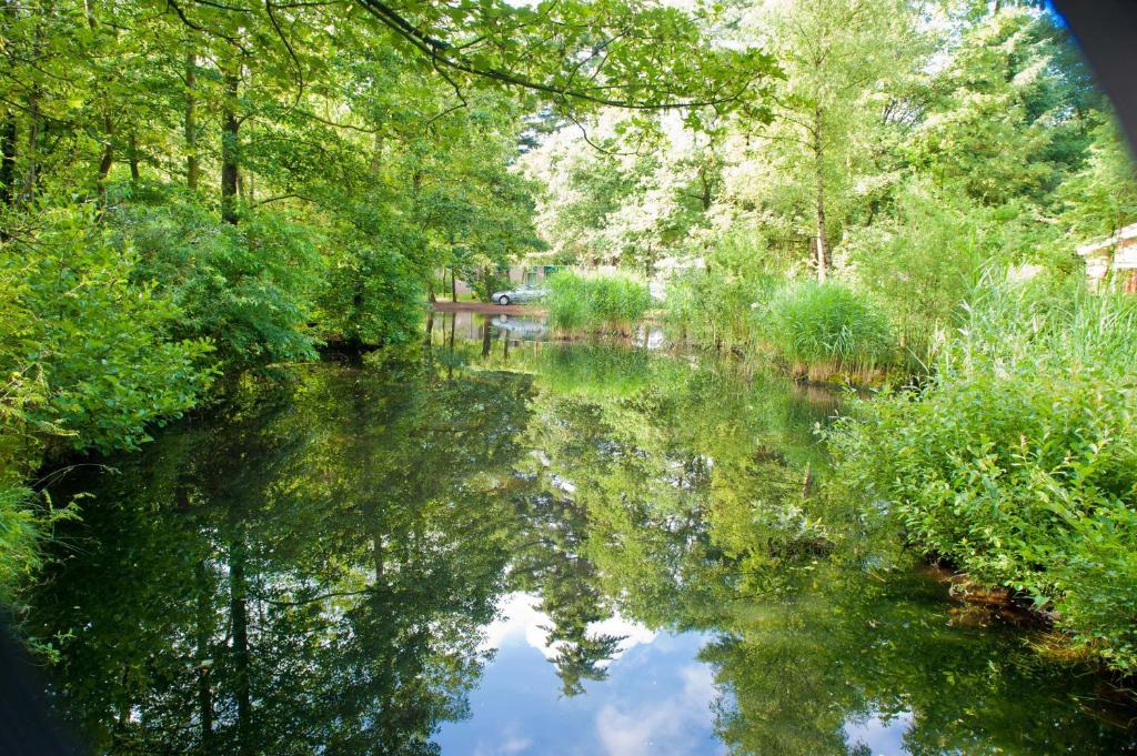 Vakantiepark De Berkenhorst Kootwijk エクステリア 写真