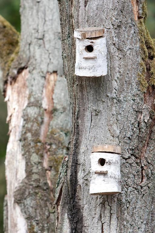 Vakantiepark De Berkenhorst Kootwijk エクステリア 写真